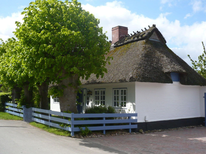 Primary image