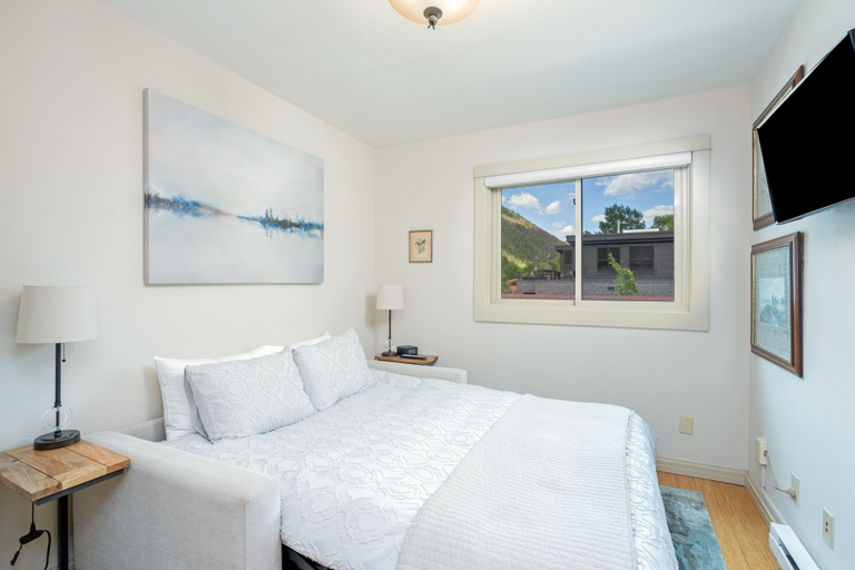Room 5, The Heart of Telluride 3 Bedroom Condo, San Miguel