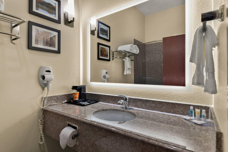Bathroom 5, Comfort Inn & Suites Atoka, Atoka