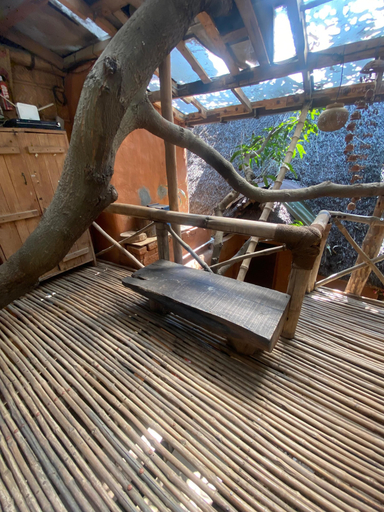 Property grounds 3, Aura Kalari, Bangalore
