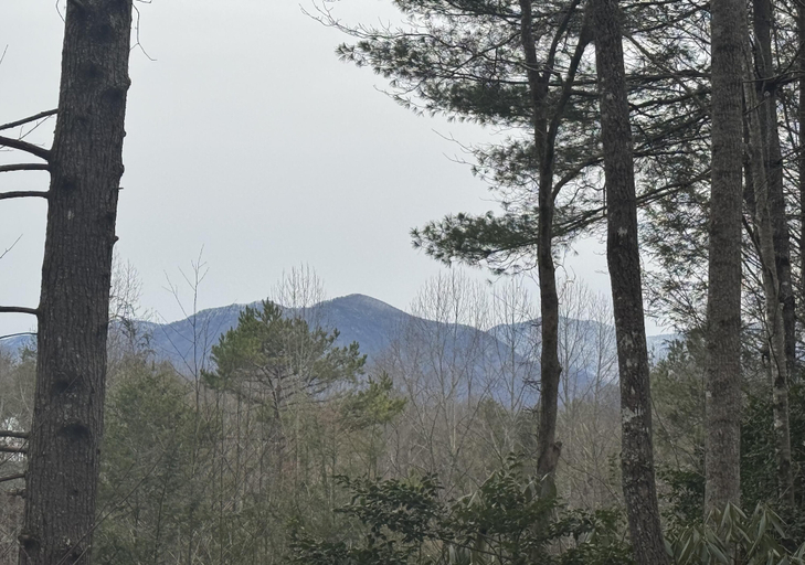 Miscellaneous 4, Heavenly Sunshine, Sevier