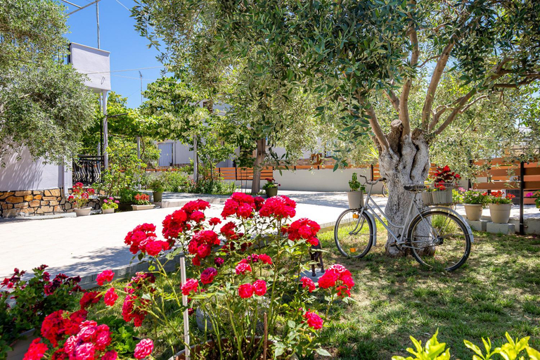 Others 5, Studios Panagiotas House Astris, East Macedonia and Thrace