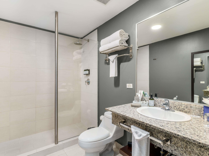 Bathroom 4, Novotel Panama City, Panamá