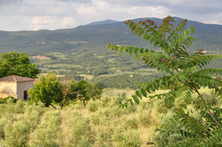 Others 5, Rustic Tuscan Apartment, Grosseto