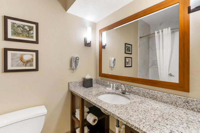Bathroom 4, Comfort Suites At The University - Conway, Horry
