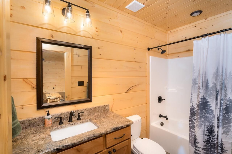 Bathroom, Four Bears, Sevier