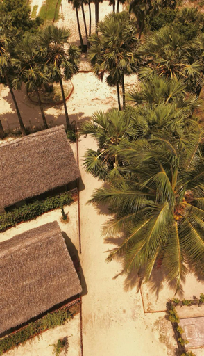 Others 4, Borassus Nature Huts by ABC Leisure's group, Island South (Velanai)