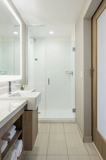 Bathroom 5, SpringHill Suites by Marriott Madison, Dane
