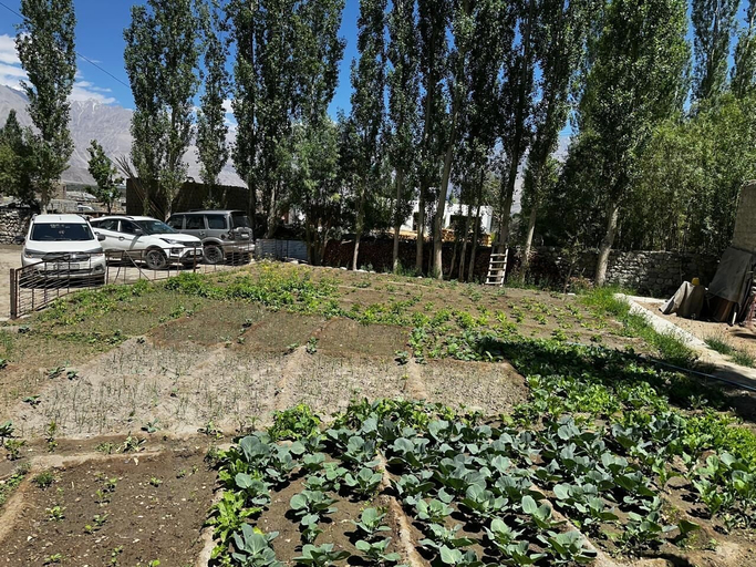 Others 4, Feroz - HomeStay, Leh