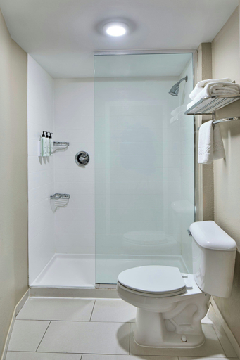 Bathroom 4, SpringHill Suites by Marriott Atlanta Alpharetta, Fulton