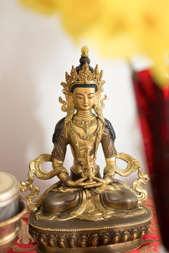 Food & Drinks 5, Nyima Tashi Buddhist Centre, Waitakere