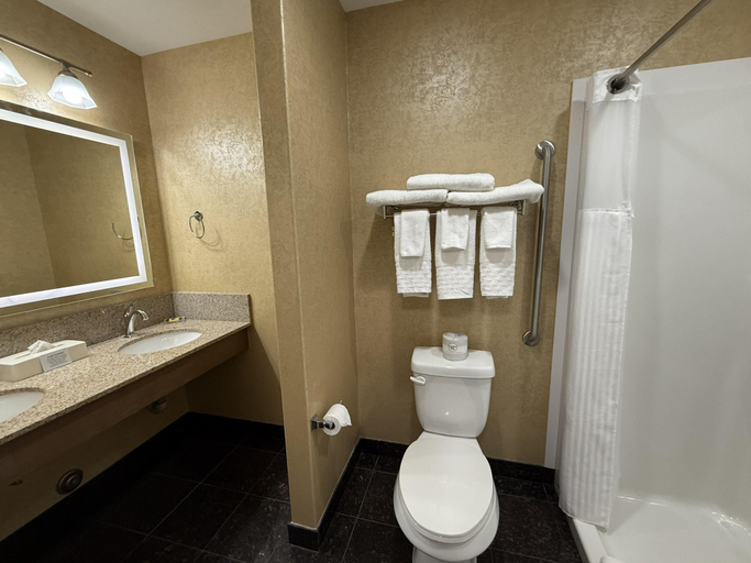 Bathroom 4, Best Western Plus Rose Country Hotel, Division No. 10