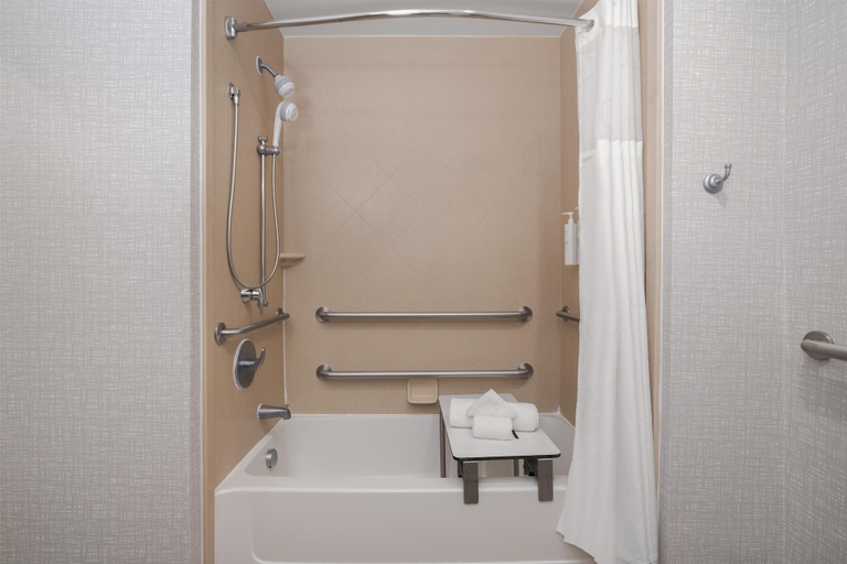 Bathroom 5, Hampton Inn Pleasanton, Atascosa