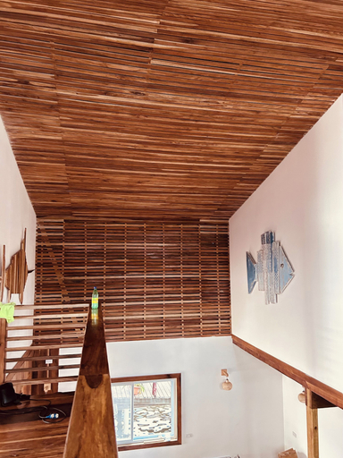 Interior 3, Blue Marlin, Bocas del Toro