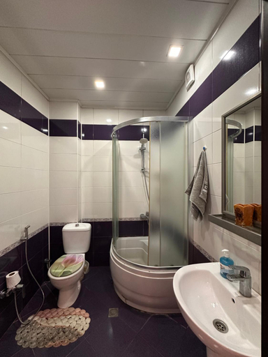 Bathroom, Narimanov Apartment, Baku