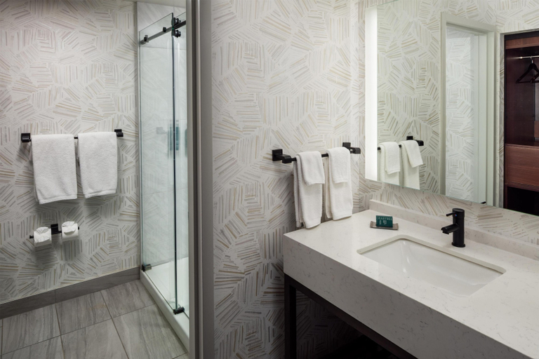 Bathroom 3, DoubleTree by Hilton Cherry Hill Philadelphia, Camden