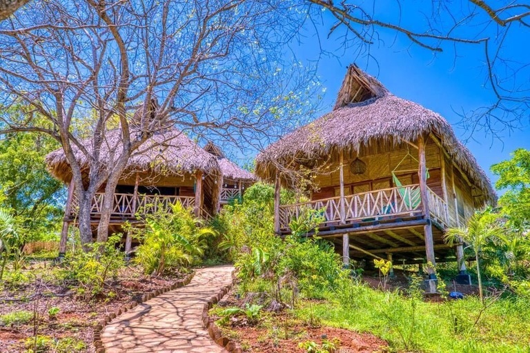 Exterior 4, Eden Yoga & Wellness Resort, Tola