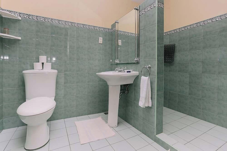 Bathroom 5, Turtle Bay Dive Resort, Moalboal