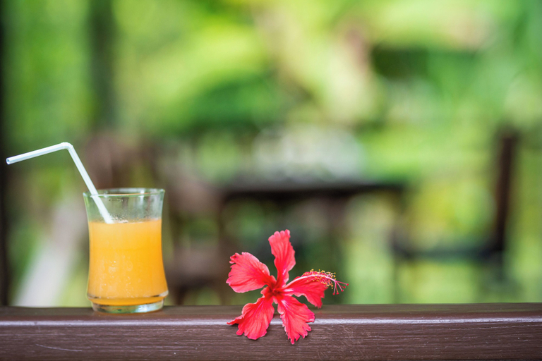 Food & Drinks 5, Pension Titaina