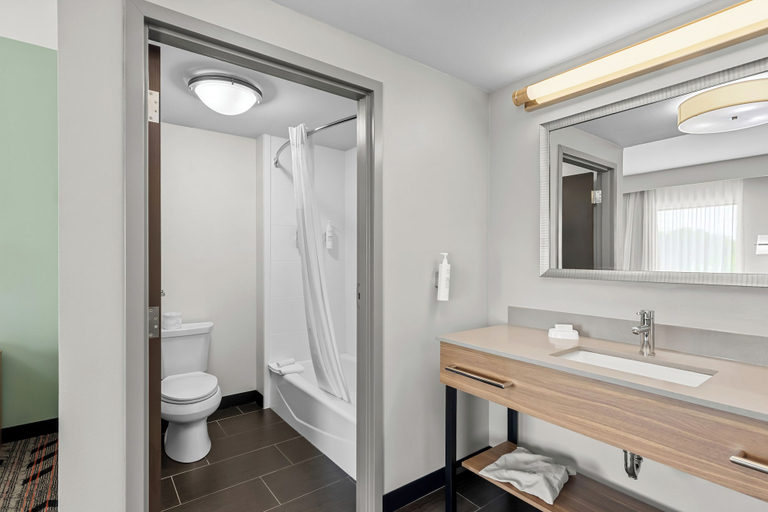 Bathroom 4, Hampton Inn & Suites Pauls Valley, Garvin