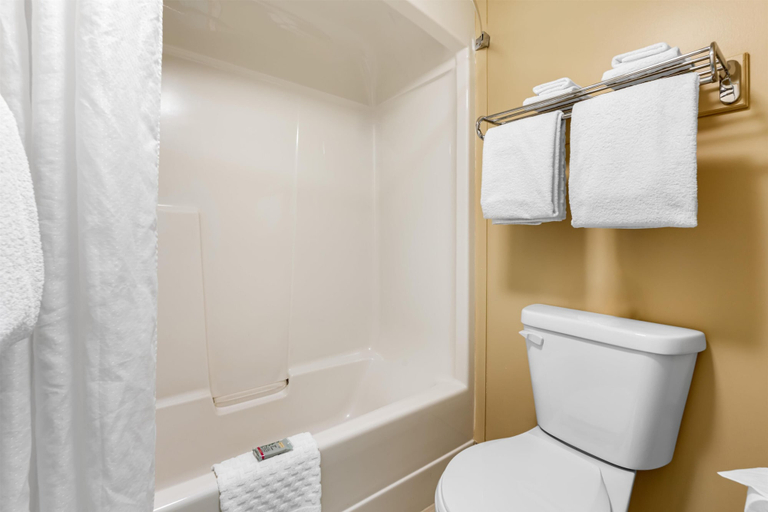 Bathroom 4, SureStay Plus Hotel By Best Western Salmon Arm, Columbia-Shuswap