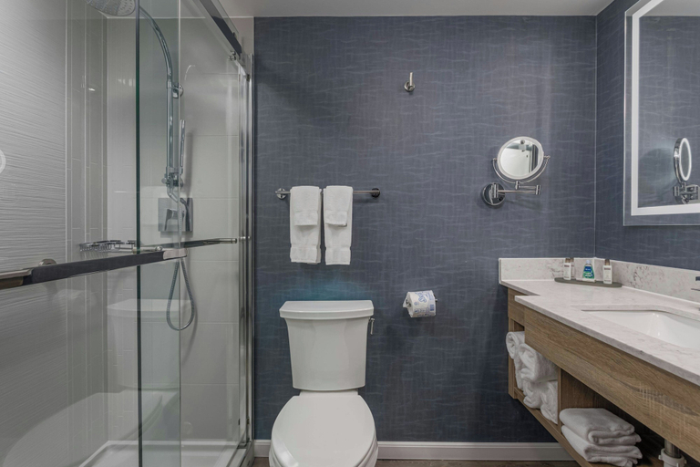 Bathroom 4, Perdido Beach Resort, Baldwin