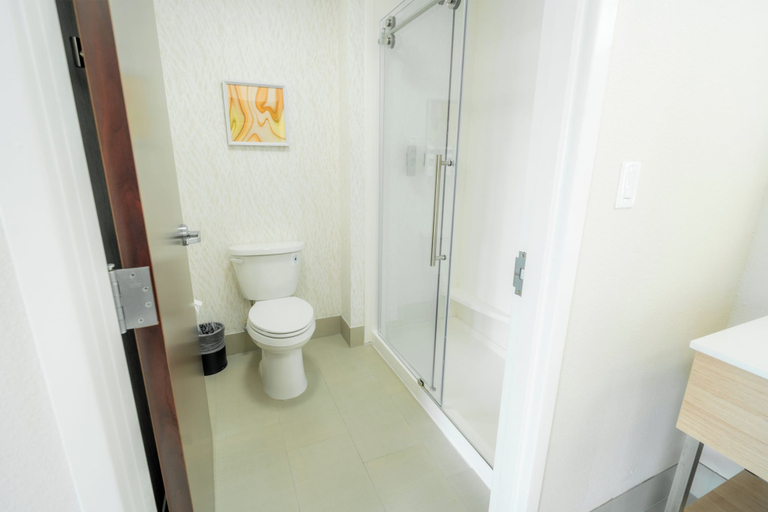 Bathroom 4, Hampton Inn & Suites Mission, Hidalgo