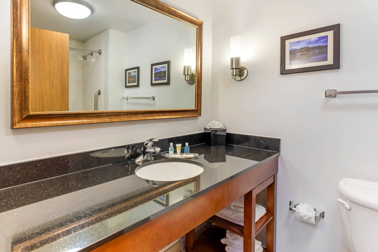 Bathroom 5, Comfort Suites Longmont, Weld