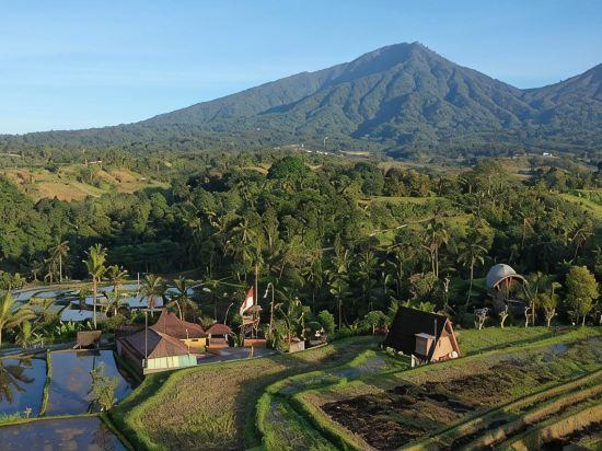 2, Metta Cabin Rice Terrace Babahan Bali, Tabanan