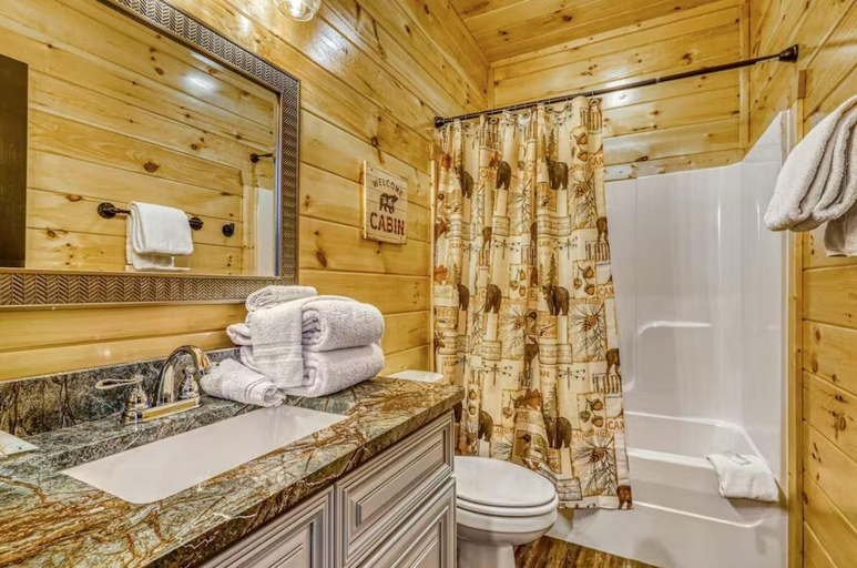 Bathroom 4, The Big Poplar Retreat, Sevier