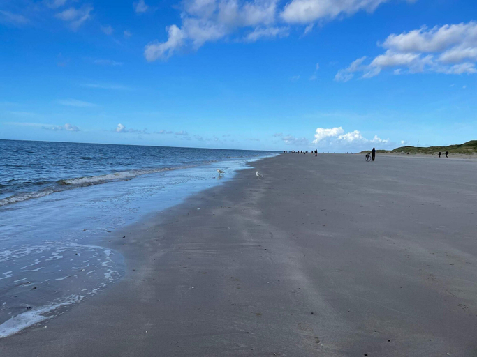 Others 5, 4 Star Holiday Home in Blavand, Varde