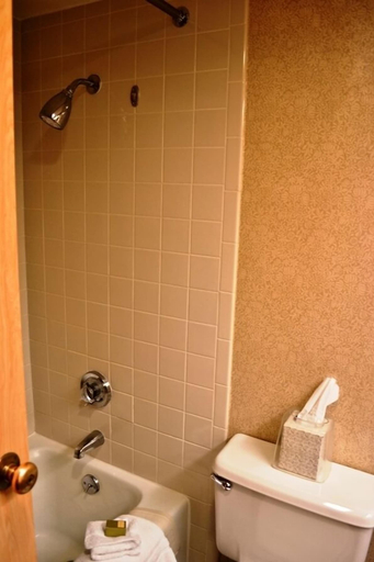 Bathroom 4, Hotel Encanto de Las Cruces, Dona Ana