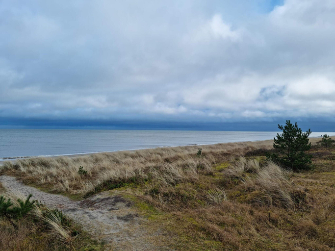 Others 5, 6 Person Holiday Home in Vaeggerlose, Guldborgsund