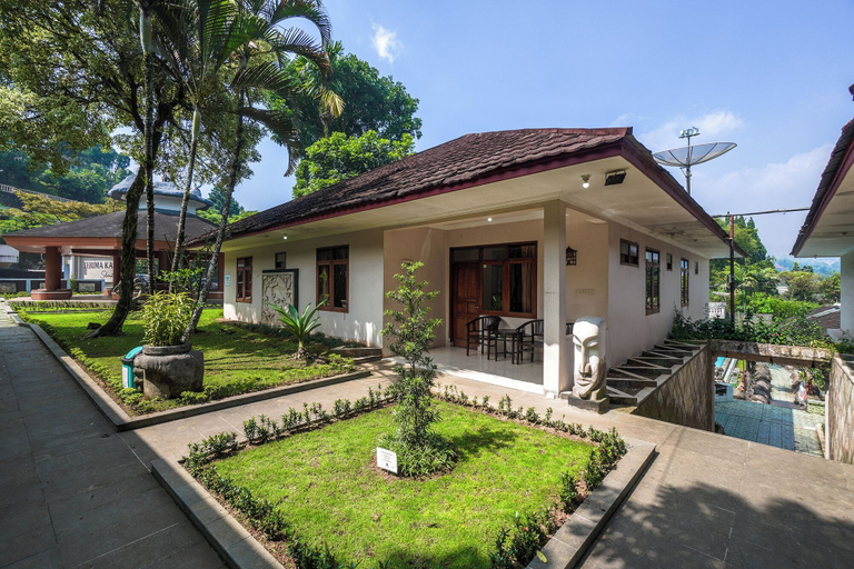 Primary image