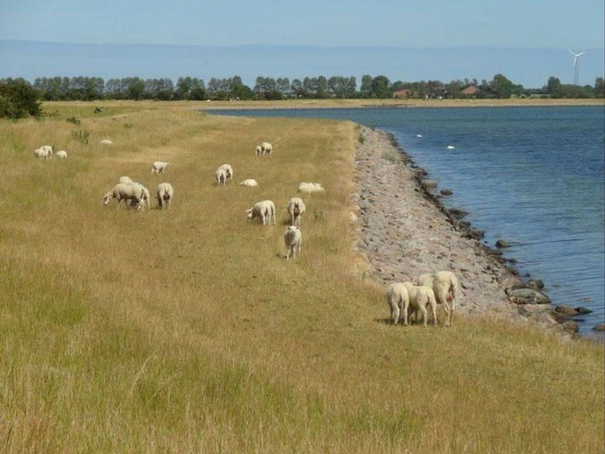 View from property, Ferienwohnung in Orth auf Fehmarn, Ostholstein