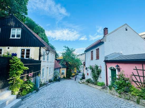 4, DISCOUNTED Apartment in Oslo City, Oslo