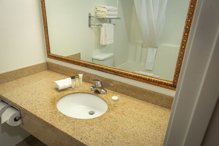Bathroom 3, Diamond Jo Casino & Hotel, Worth