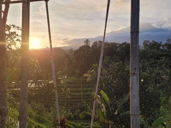 2, Metta Cabin Rice Terrace Babahan Bali, Tabanan