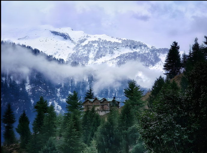 Others 5, Jojo's Nest, Kullu