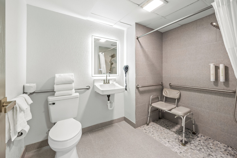 Bathroom 2, Clarion Pointe Springfield Southeast, Greene