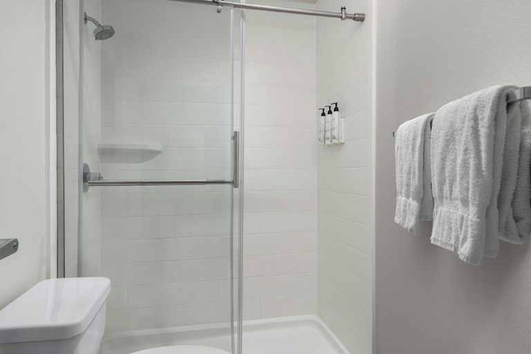 Bathroom 4, SpringHill Suites Dallas Arlington North, Arlington