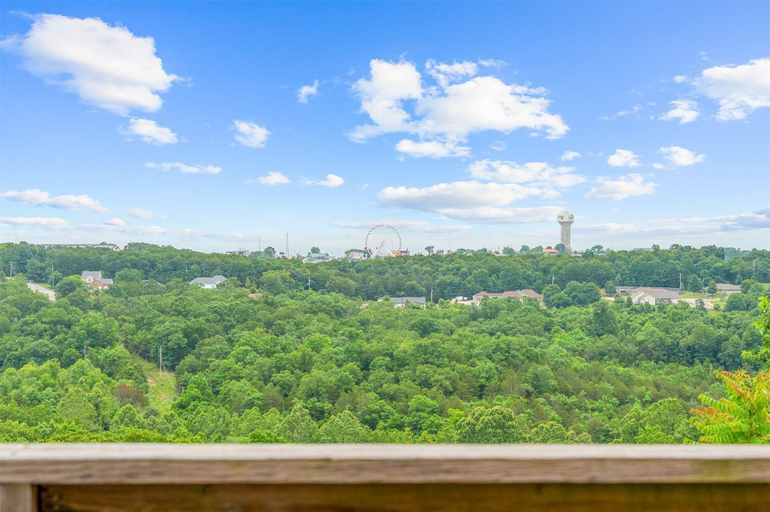 View from property, The Vista Condo Great Views, Taney