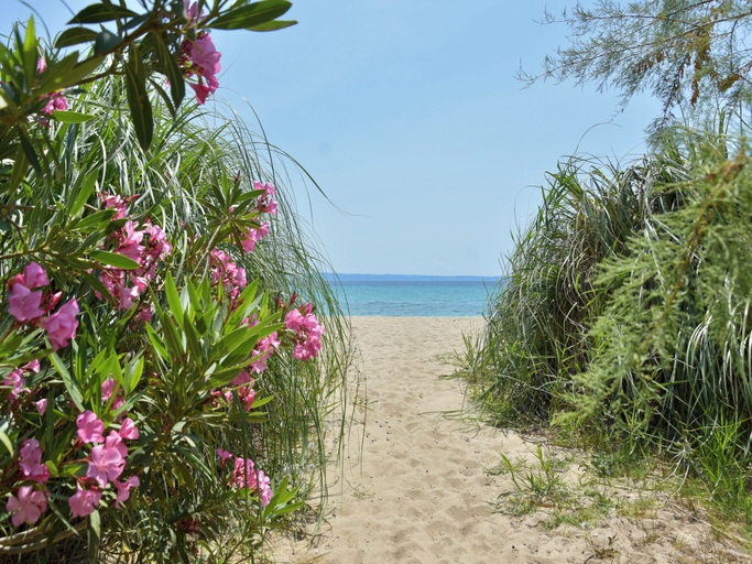 Others 3, Spacious Maisonette on the "eu Blue Beach" of Kalogria in Sithonia, Greece Num1, Central Macedonia