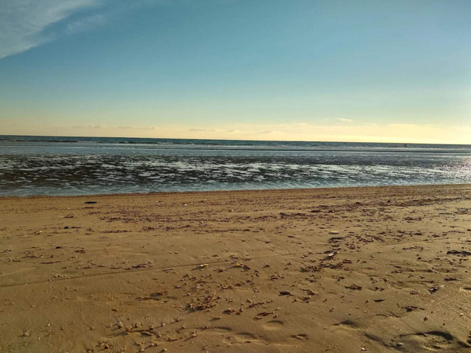Others 5, 5 Star Holiday Home in Fano, Fanø