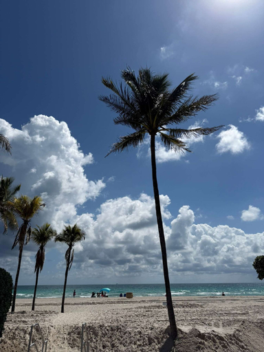 Room 3, Waterfront Fifa Retreat in Hollywood Beach, Broward