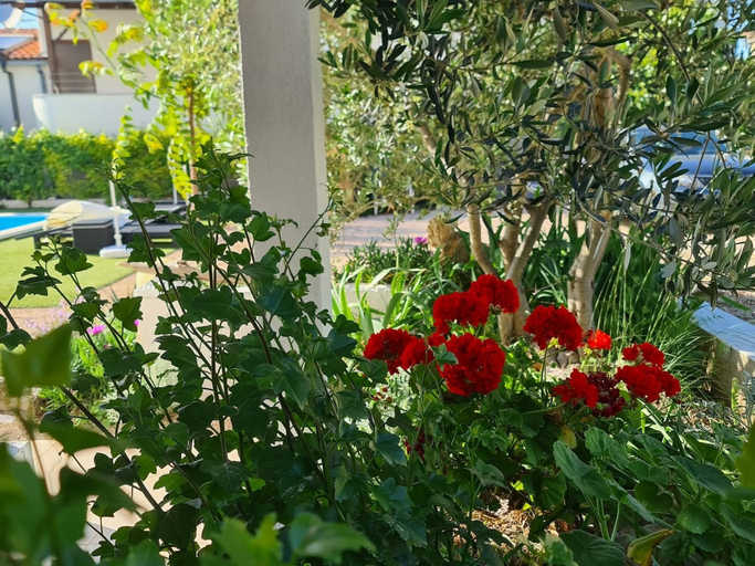 Others 2, Ilsad Apartments, Apartment With Pool 80 Meters From se, Sea View From Balcony, Pašman