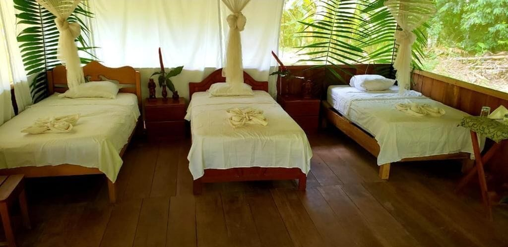 Room 3, Amazon Tropical Expeditions, Maynas
