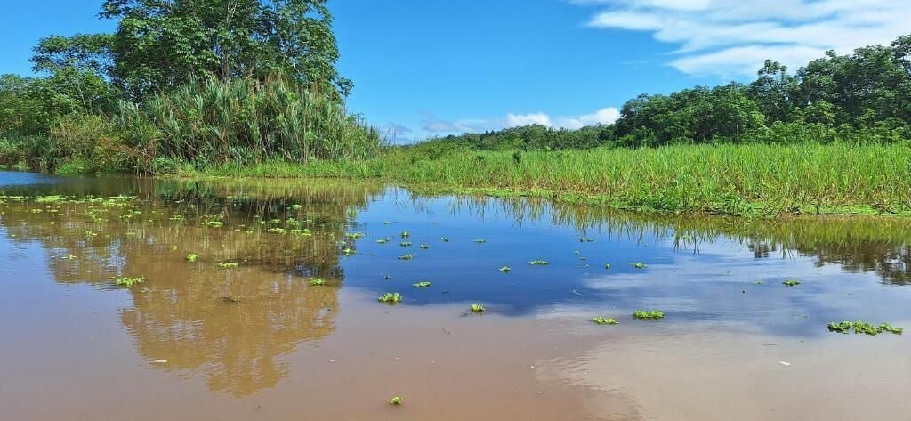 Miscellaneous, Amazon Tropical Expeditions, Maynas
