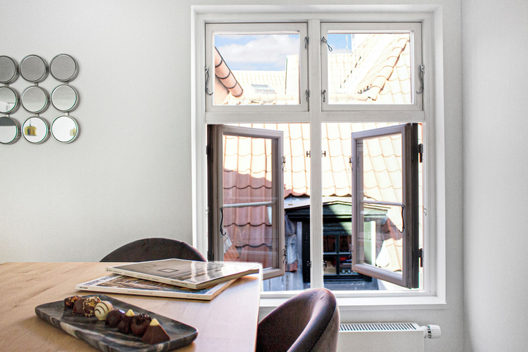 Others 3, Regent 5 - Large Apt With Terrace Right in Centre of Copenhagen, Copenhagen