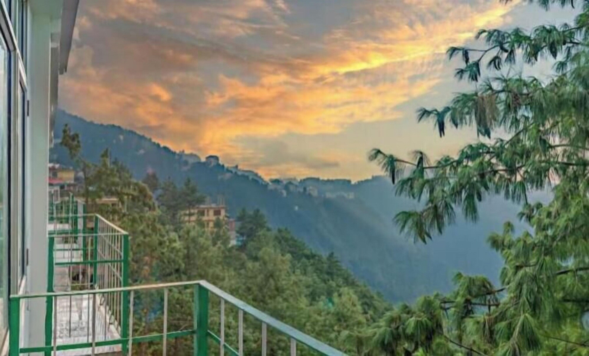 Property grounds, The Wood Inn, Shimla